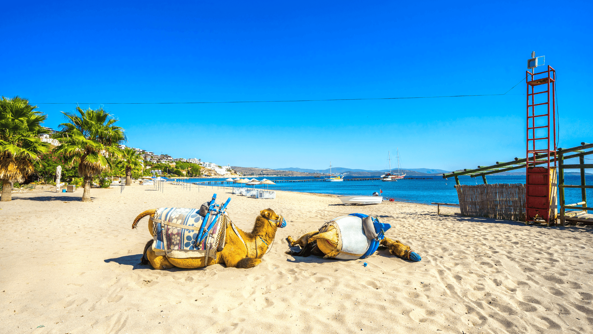 Camel Beach in Bodrum