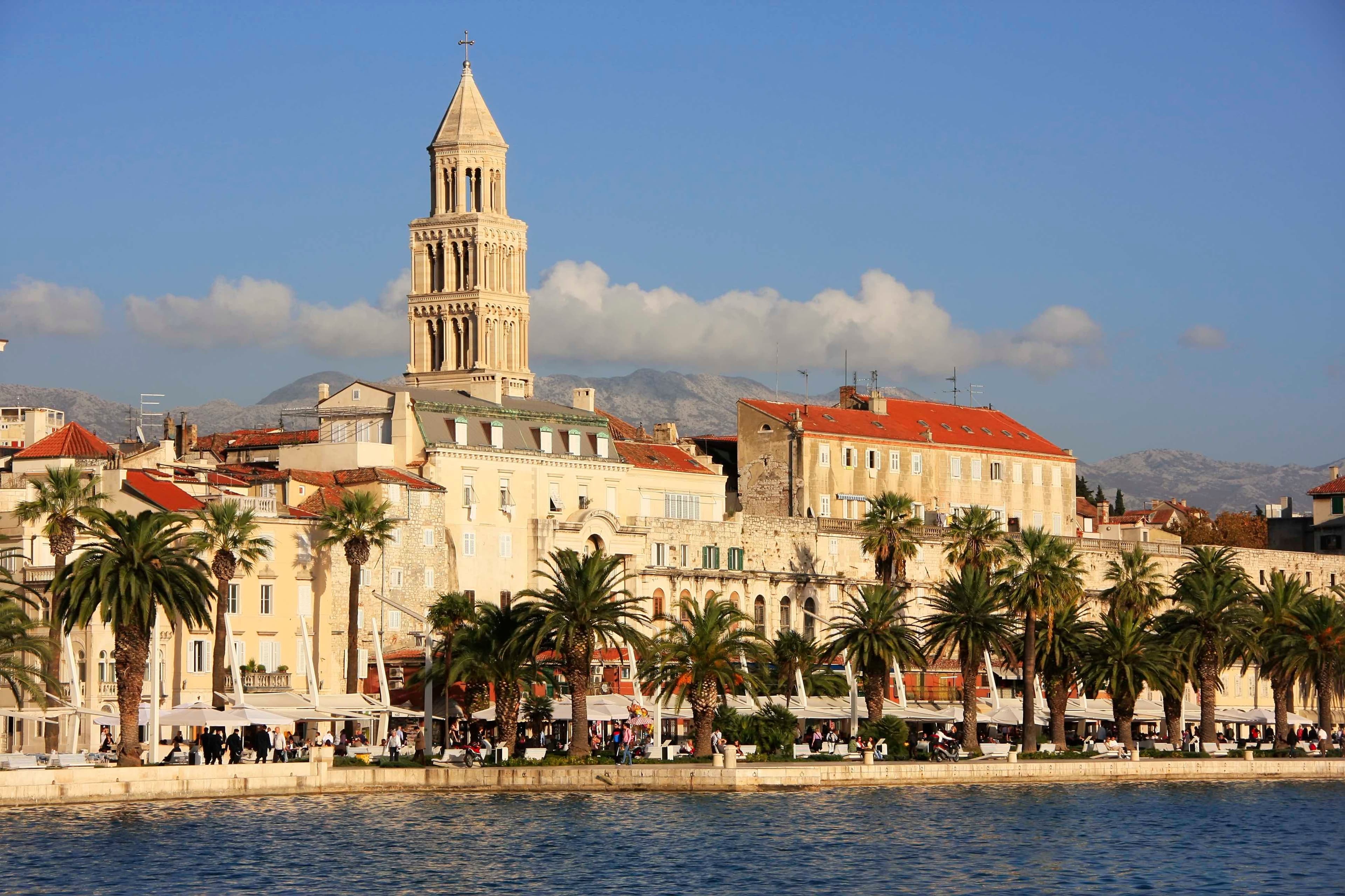 split old town palm trees near sea