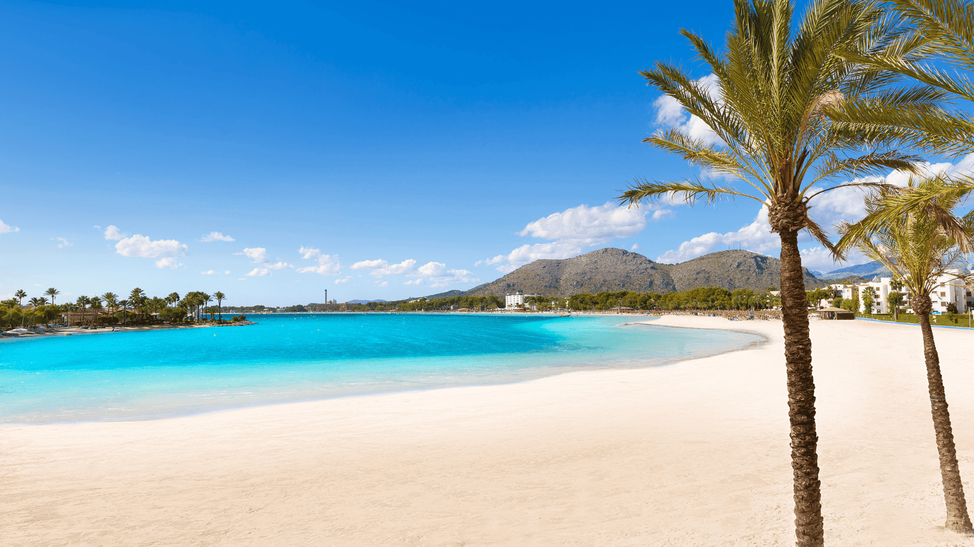 Playa de Alcudia in Majorca