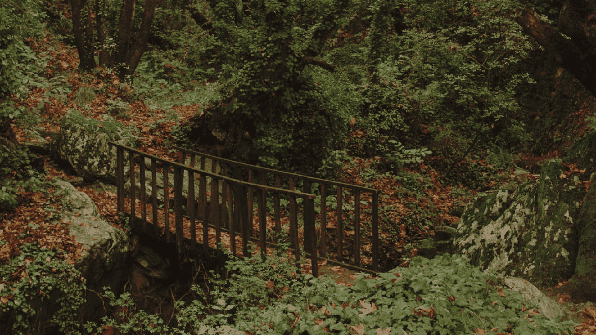 Spring of Manas in Volos