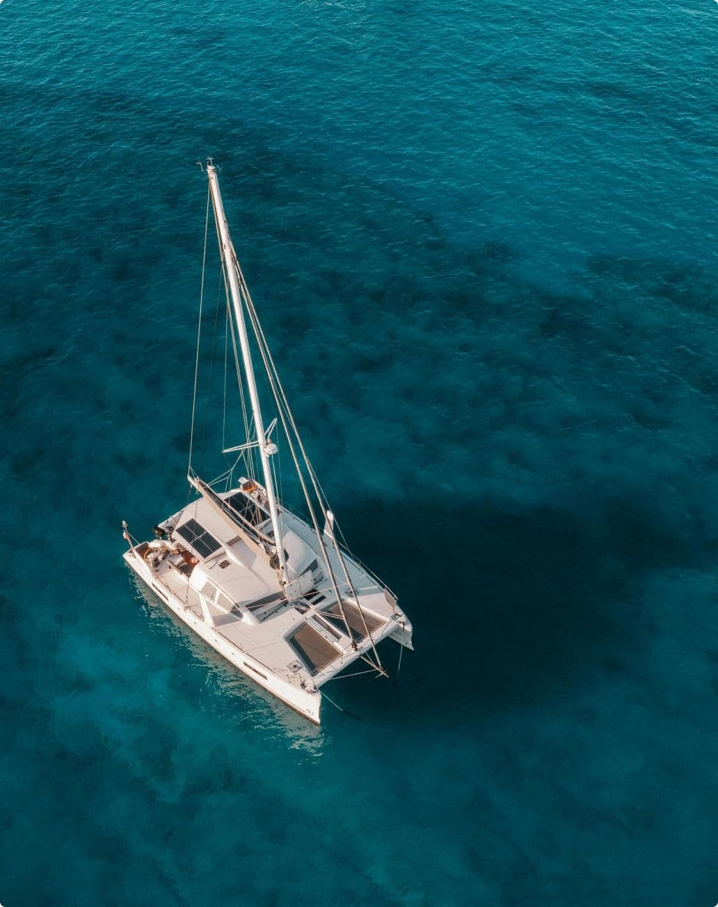 What makes us different