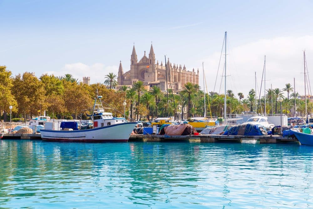 majorca cathedral and marina with boats moored