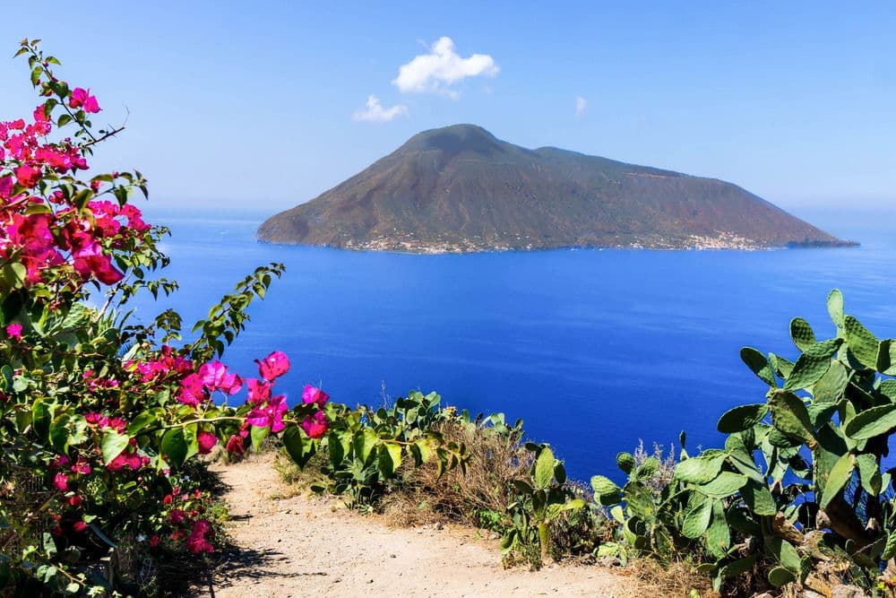 lipari italy mountain in background pink flowers