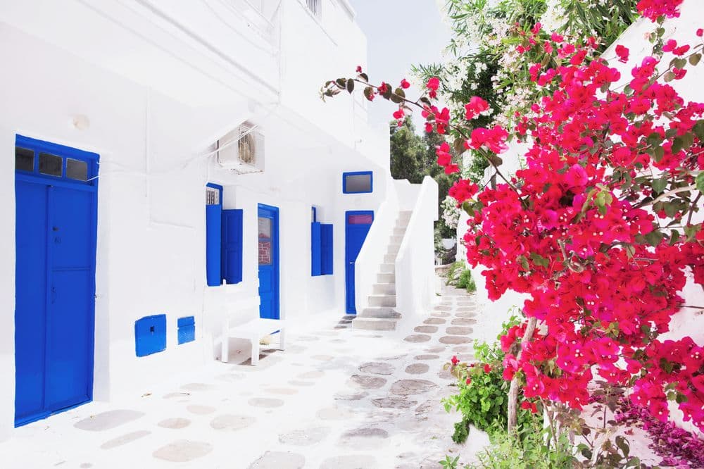 greece mykonos white path with blue doors and pink flowers