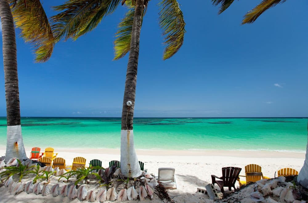 anegada beach chairs palm trees in bvi