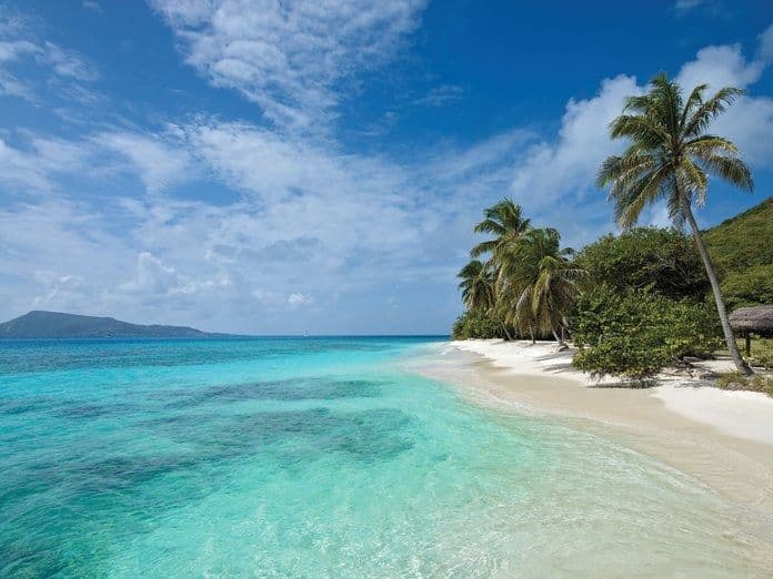 petit st vincent