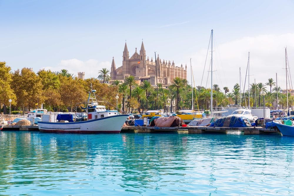 majorca cathedral and marina with boats moored