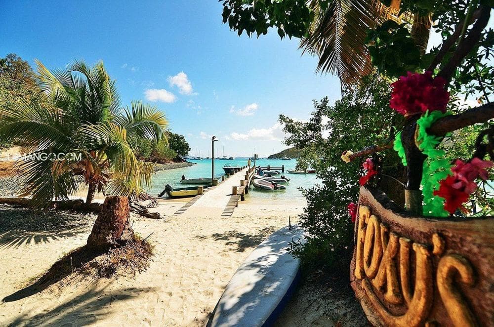 foxy tararind bar restaurant bvi jost van dyke